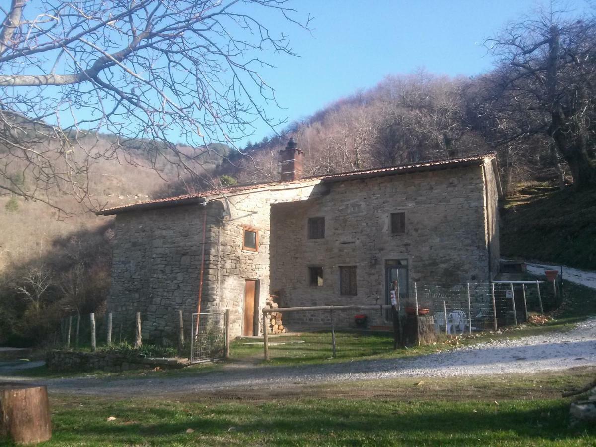 San Godenzo Mimmo'S Holiday House מראה חיצוני תמונה